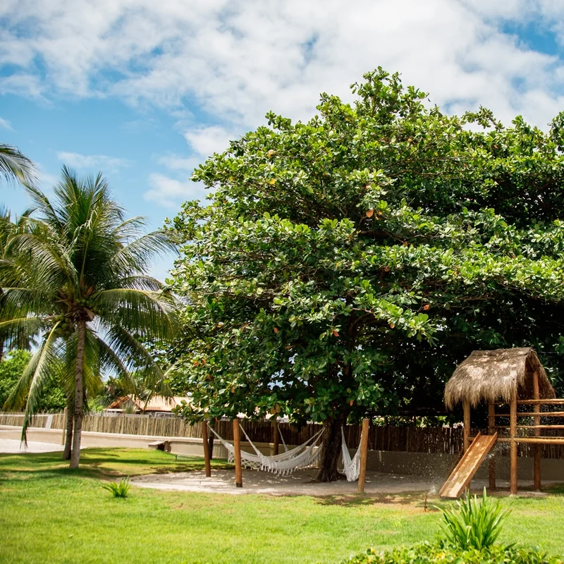 pousada-tatua-estrutura-redario-2